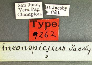 Media type: image; Entomology 9262   Aspect: labels
